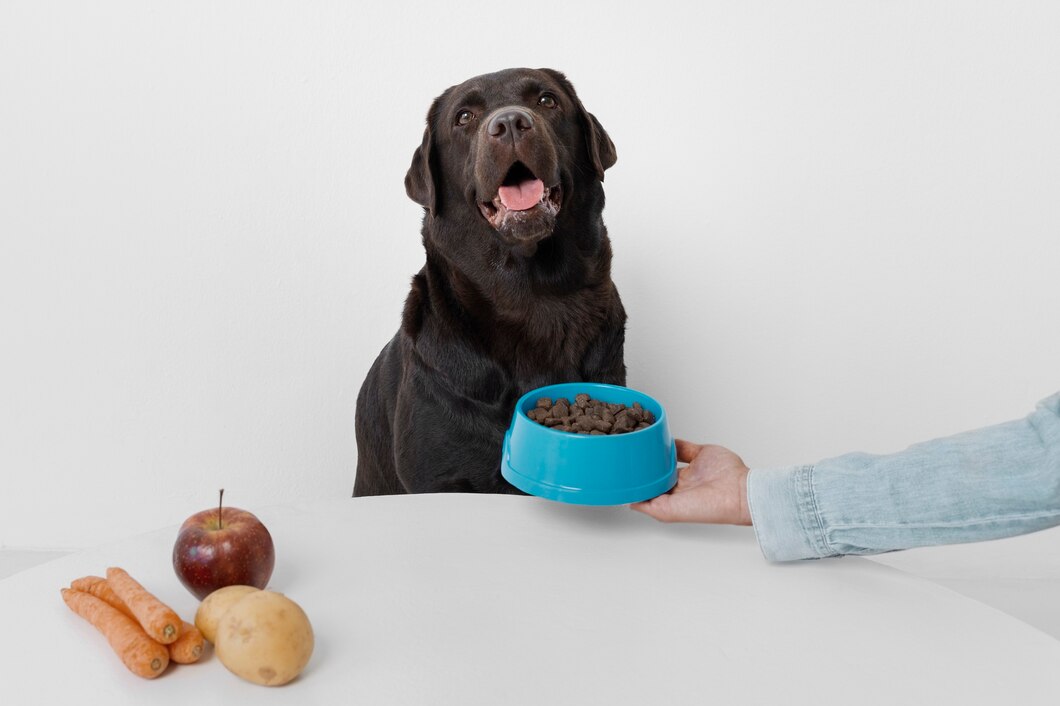 Diet & Pet Nutrition